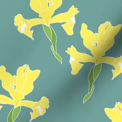 Iris Flutter! (Yellow) - teal green, medium 