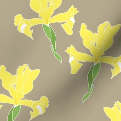 Iris Flutter! (Yellow) - greige taupe, medium 