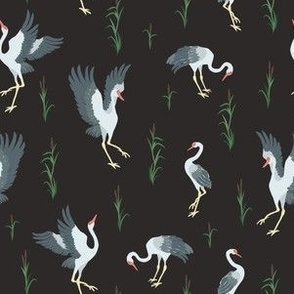 Cranes on Dark