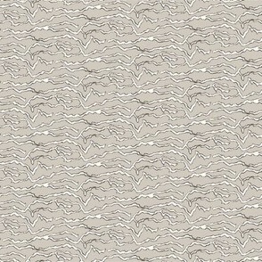 White Moth Wing Stripe On Grey