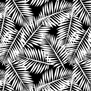 palm leaf white on black