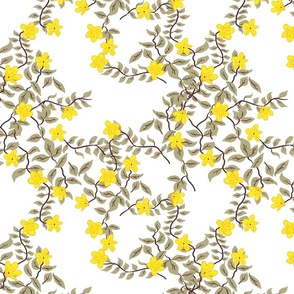 Yellow_Jasmine_-small