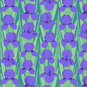 violet irises line drawing floral on teal green