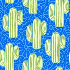 Sonora - 6" medium - lime and blue