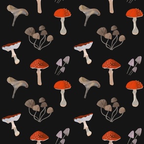 Autumnal Painted Mushrooms