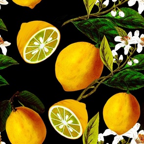 Lemons,citrus,dark background 
