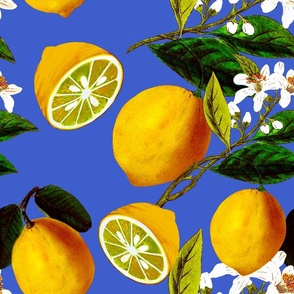 Lemons,citrus,Blue background 