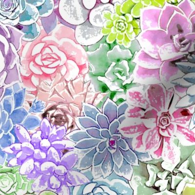 Succulent Rosettes - pastel colours 12-inch repeat