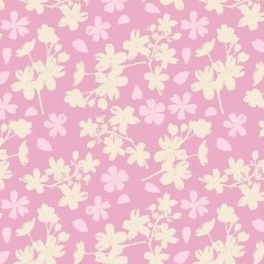 Fluffy Pink Sakura 4x4 inch