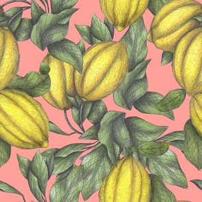 Lemons Under the Sun Pink (Medium Scale)