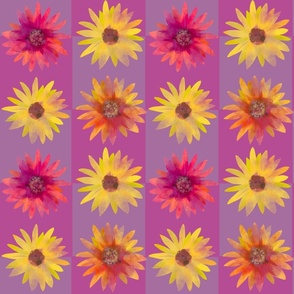 daisies and checkerboard, purple, yellow, magenta