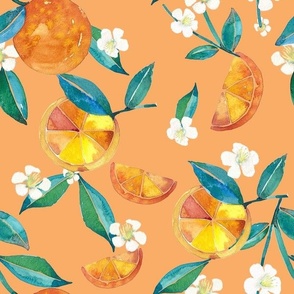 Orange Blossom on apricot