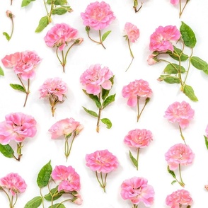 Pink Roses with Green Leaves Pattern