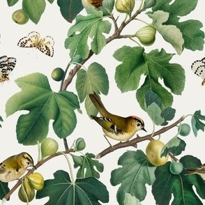 Figs & Birds - Small - Cool White 1