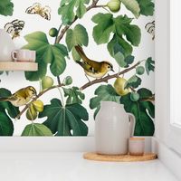 Figs & Birds - Large - Cool White 1