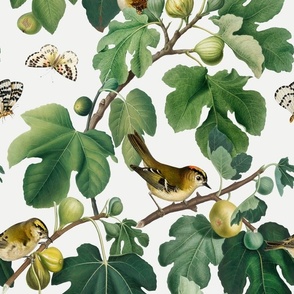 Figs & Birds - Large - Cool White 1