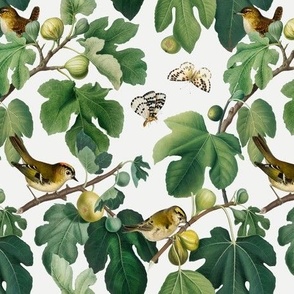 Figs & Birds - Small - Cool White 1