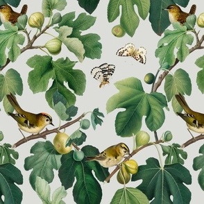 Figs & Birds - Small - Gray Cool White 2