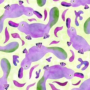 Watercolor Swimming Platypus | Purple and Green