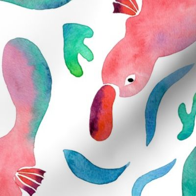 Watercolor Swimming Platypus | White Backgrond