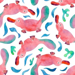 Watercolor Swimming Platypus | White Backgrond