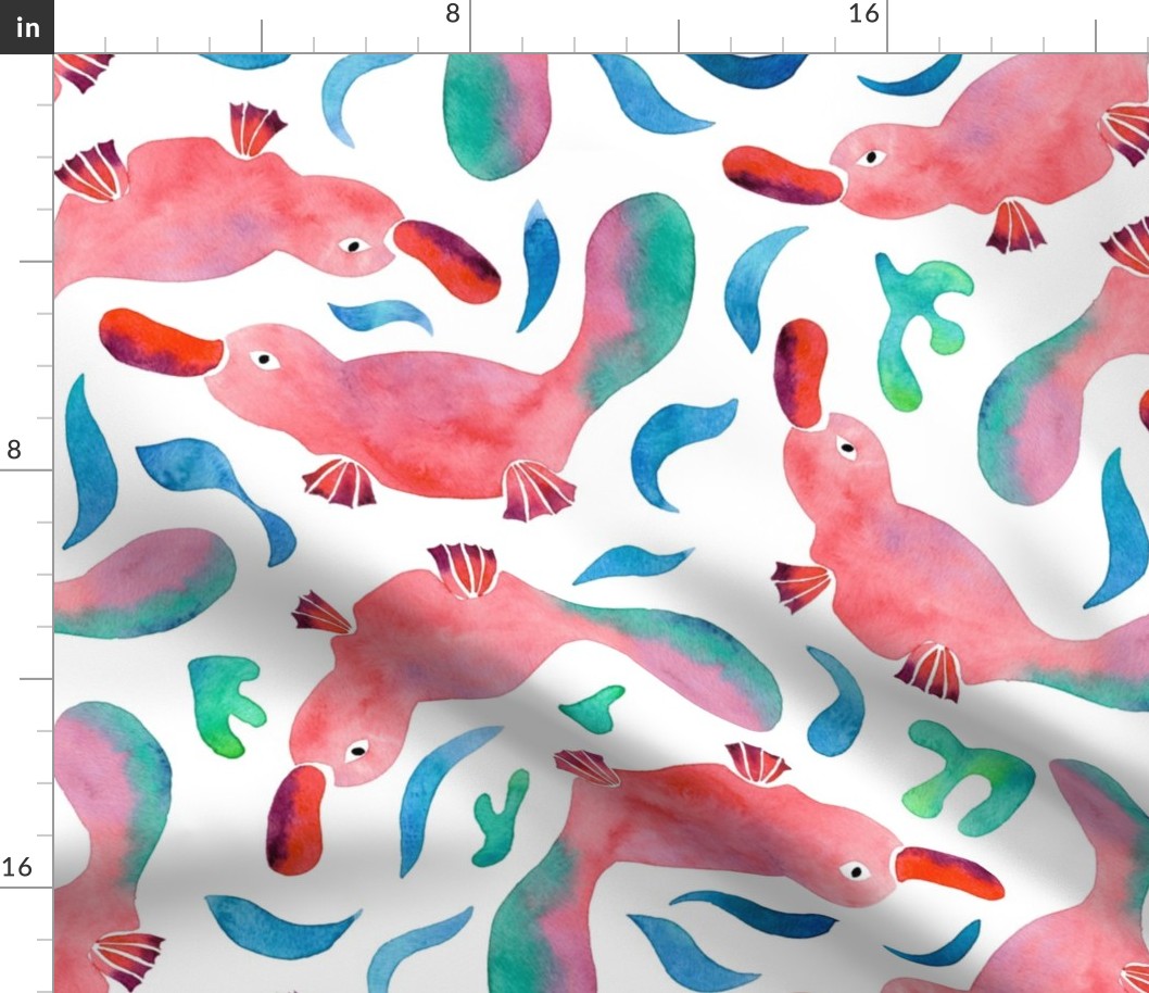 Watercolor Swimming Platypus | White Backgrond