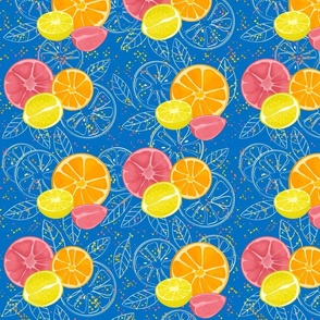 Summerfruits on blue -  medium scale