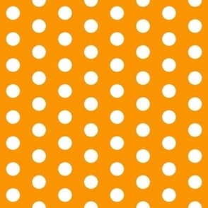 Cheddar Orange Dots
