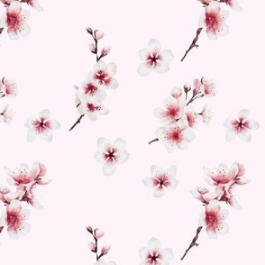 Cherry Blossom