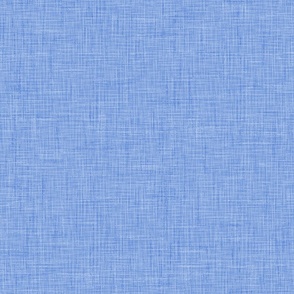 Linen Texture Canvas Sky Blue