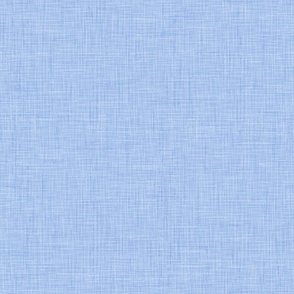 Linen Texture Canvas Light Sky Blue