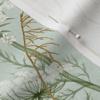 Medium Wild flowers Pastel Modern Cottage Floral  Queen Anne's lace and honey grasses on sky blue, aquamarine, baby blue , Meadow, cottage core, intheweedsdc , floral wallpaper,  jumbo scale, home decor , meadow wallpaper, jumbo scale, home decor
