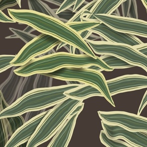 Tropical Patio Plant leafs