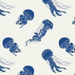 Navy Jellyfish 6x6