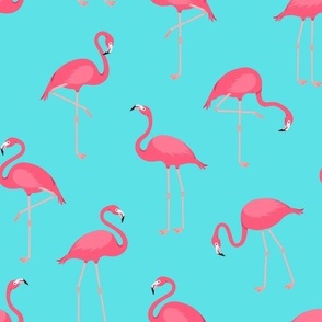 Flamingoes on blue