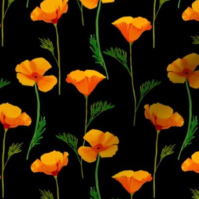 California Poppies on Black by Brittanylane