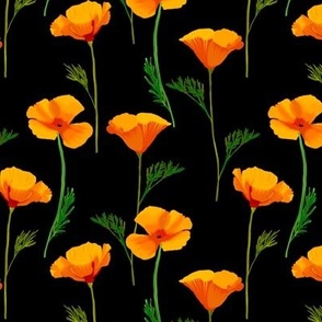 California Poppies on Black by Brittanylane