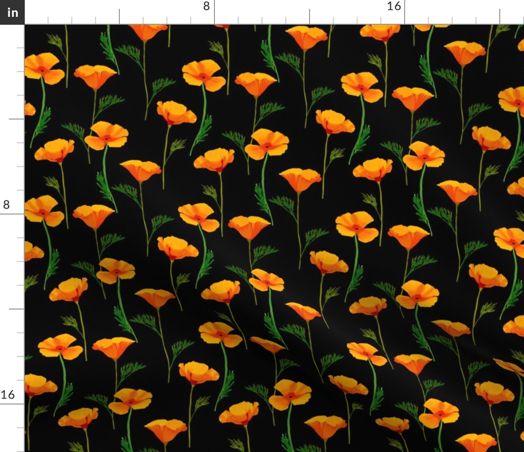 California Poppies on Black by Brittanylane