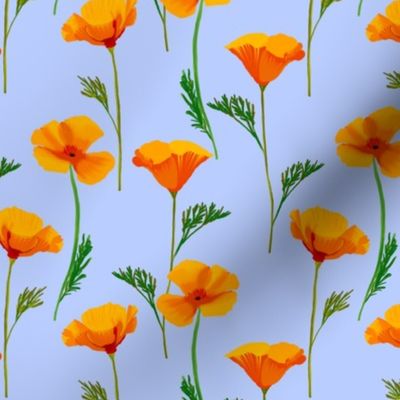 California Poppies on Periwinkle Blue by Brittanylane