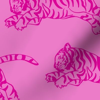 Tiger fuschia on pink