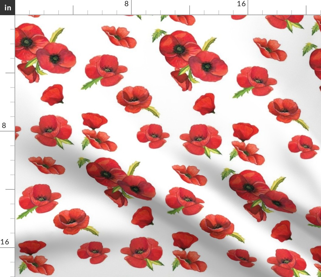 Red Poppy Floral