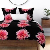 Swirly_Dahlias_Four_18_On_Black-yard