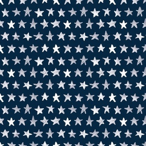 Painted Stars - Navy/White - Reduced Size