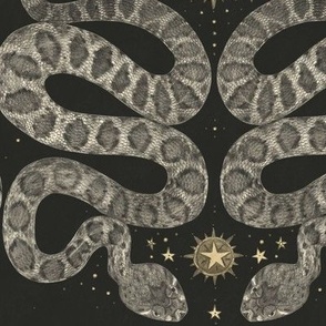 celestial snakes dark
