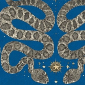 celestial snakes blue