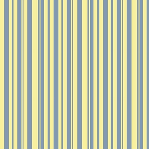 Journey Stripes in Daffodil and Blue/Grey