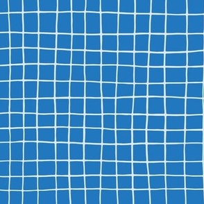 Blue Grid