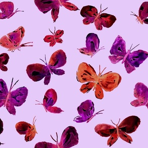 Butterflies on light purple