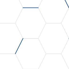 Blue Line Hexagons