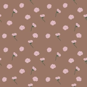 Vaccaria Pink Beauty Tiny floral pattern on brown background